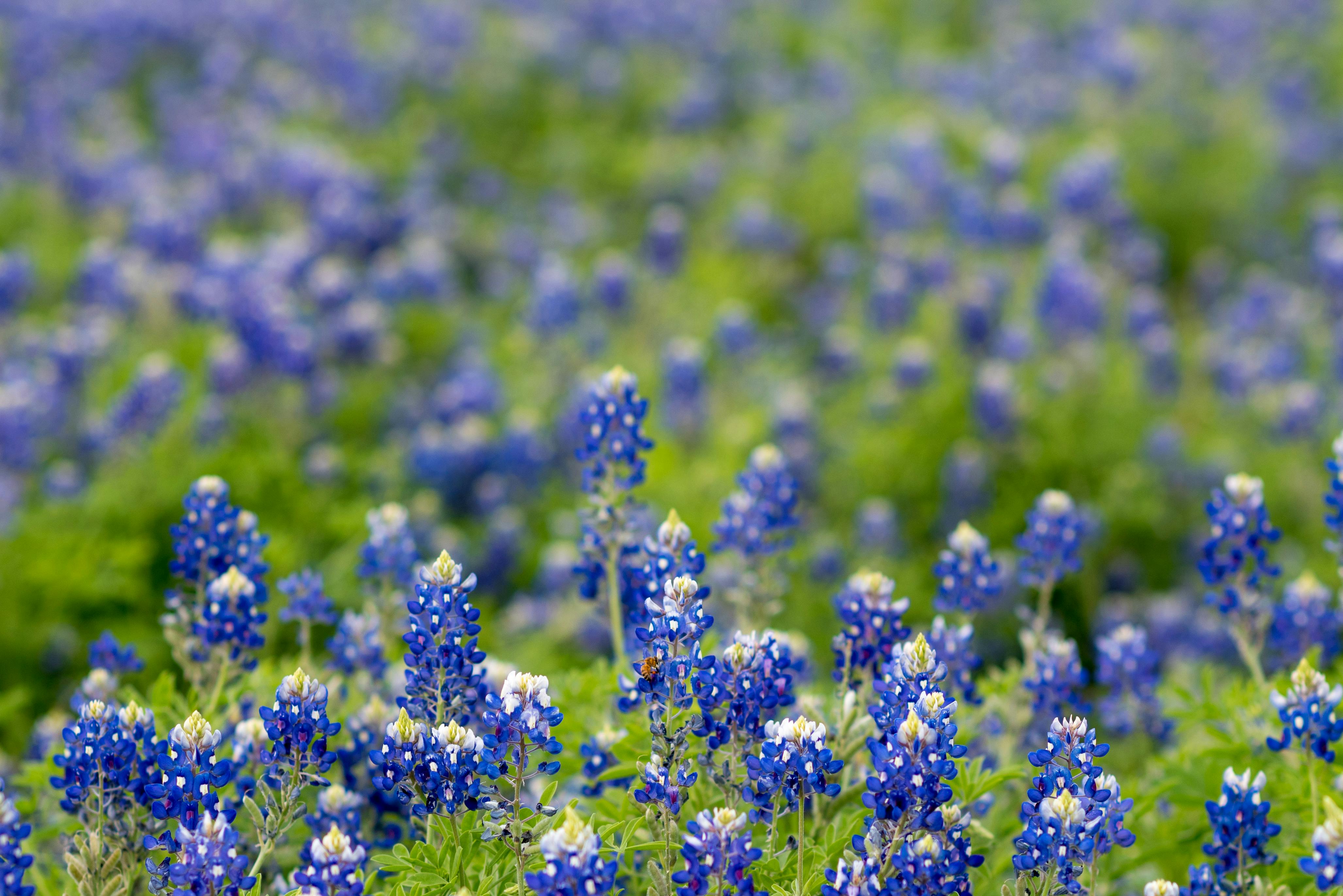 What Texas’s PHC Quality Management Update Means for Clinics and Their Contact Centers